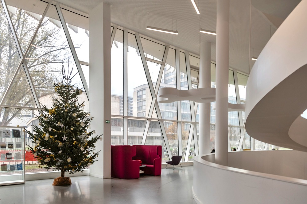 Sapin de Noël dans le Studium