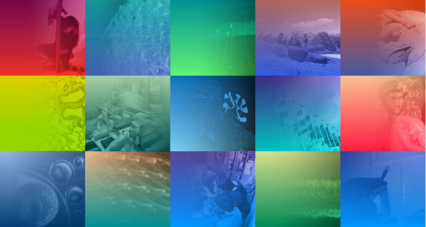 Avec les ITI, l’interdisciplinarité en mouvement