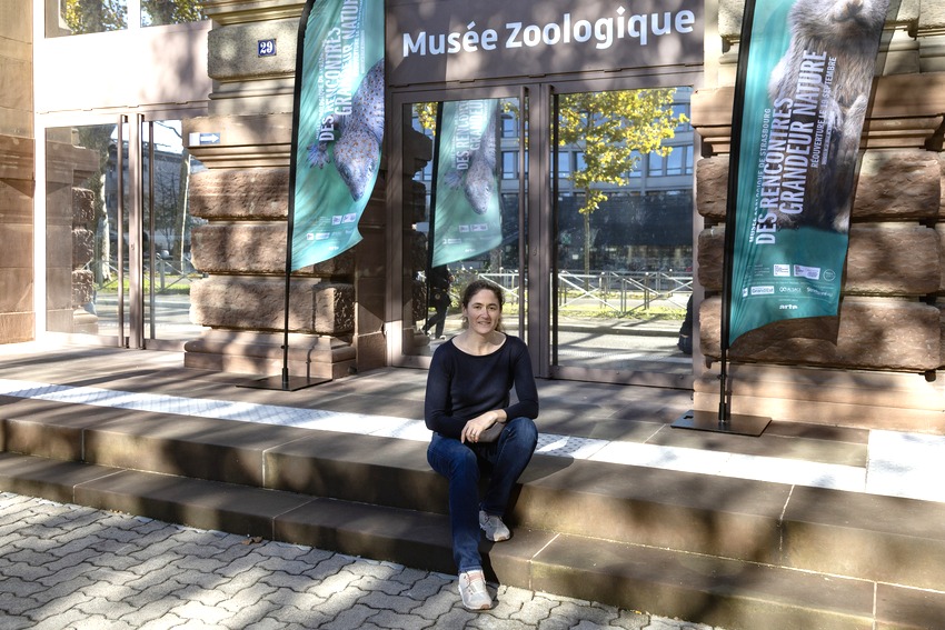 De la chrysalide au papillon, la mue d’un musée